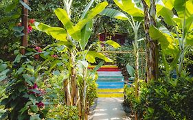 Samyama Retreat